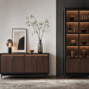 Display Storage Cabinet